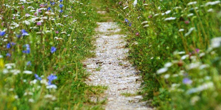 Transform Your Relationship with Food Through Mindful Eating: Discover the Power of Mindful Eating Habits