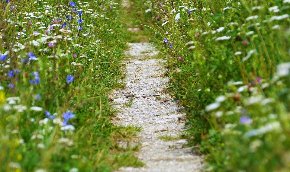 Transform Your Relationship with Food Through Mindful Eating: Discover the Power of Mindful Eating Habits