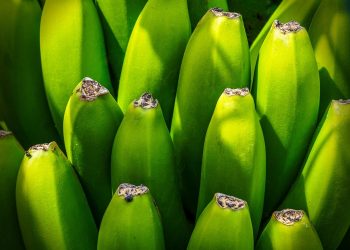 The Path to Inner Peace: Nurturing Your Emotional Wellbeing