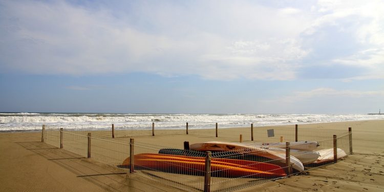 Mastering Your Mind: Effective Strategies for Mental Health Wellness