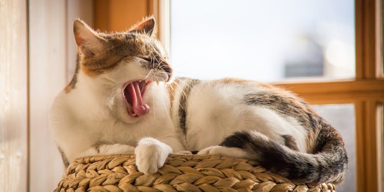 Unlocking the Secrets to Achieving Deep Sleep: Strategies for Restful Nights and Energized Days