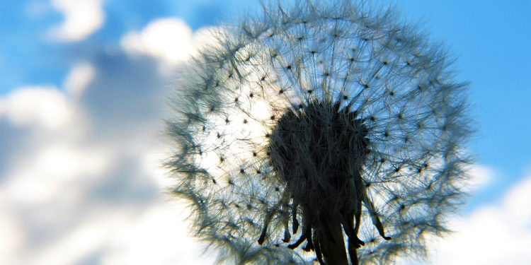 Unlocking Inner Peace: The Healing Power of Body Scan Meditation