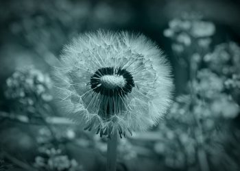 Mastering Stress: The Power of Mindfulness-Based Stress Reduction (MBSR)