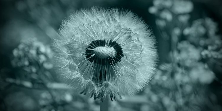 Mastering Stress: The Power of Mindfulness-Based Stress Reduction (MBSR)