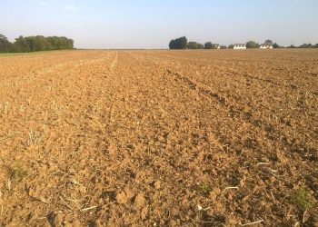 Breaking the Stigma: Accessing Vital Mental Health Resources for a Healthy Mind