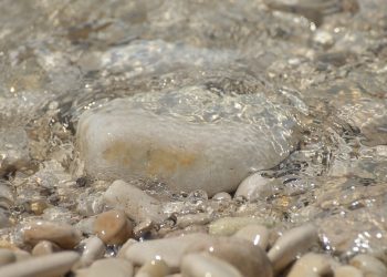 Mastering Mindfulness: Transform Your Life with These Top Apps