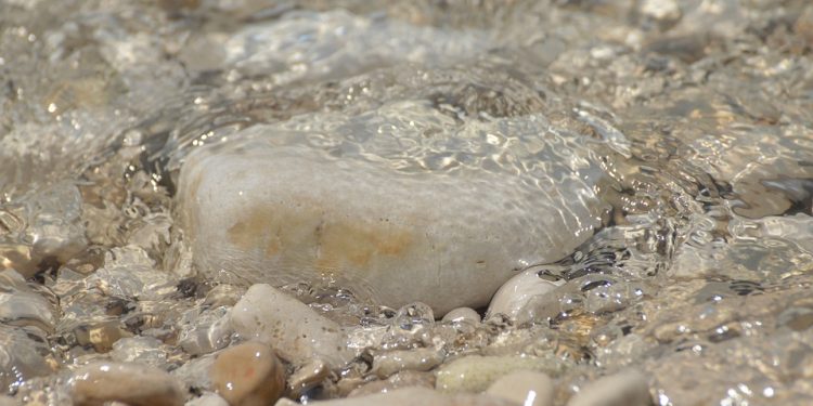 Mastering Mindfulness: Transform Your Life with These Top Apps