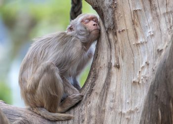 Unlocking the Power of Relaxation: Stress Relief Techniques to Find Your Zen