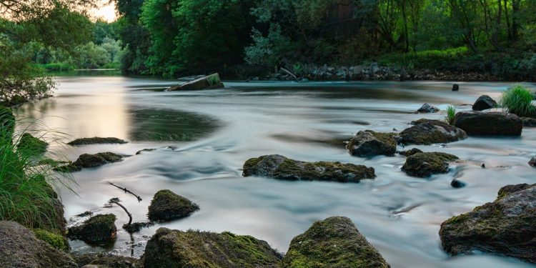 Harmony Within: The Power of Breath Awareness Meditation