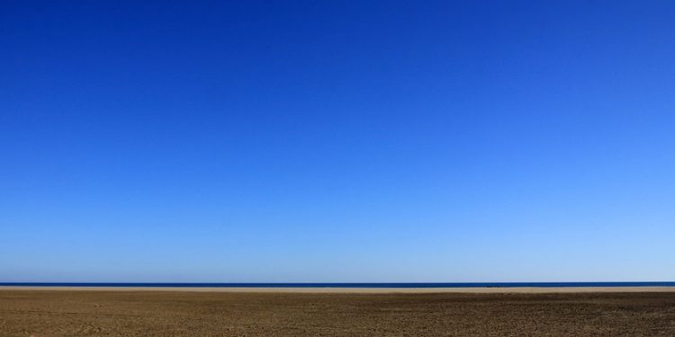 Nourishing the Mind: Essential Practices for Mental Wellness