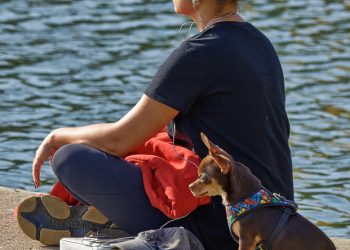 Finding Peace: Exploring Mindfulness Techniques to Ease Anxiety