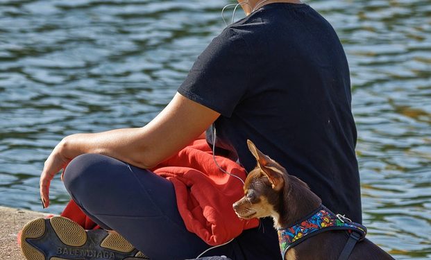 Finding Peace: Exploring Mindfulness Techniques to Ease Anxiety