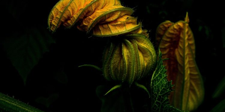 Embracing Positivity: The Key to Achieving Optimal Mental Health