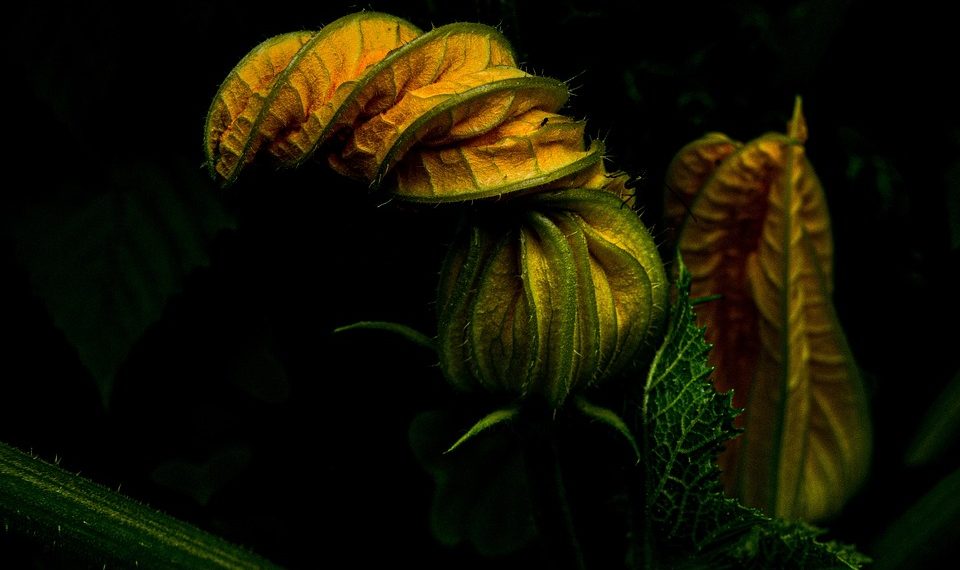 Embracing Positivity: The Key to Achieving Optimal Mental Health