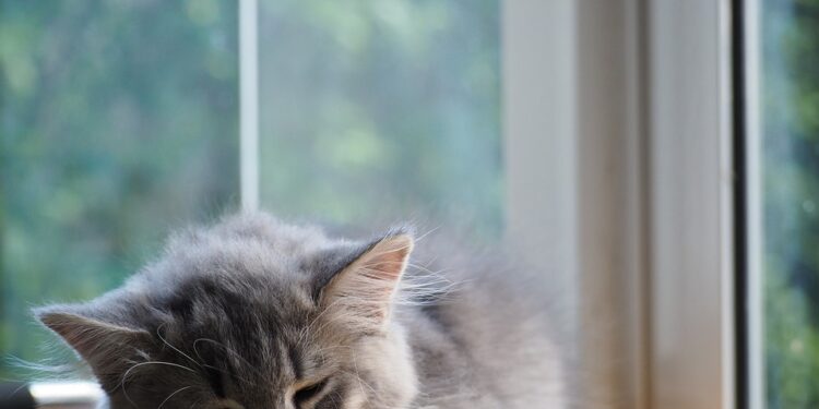 Dreamscape: Harnessing the Power of Visualization for Deeper Sleep