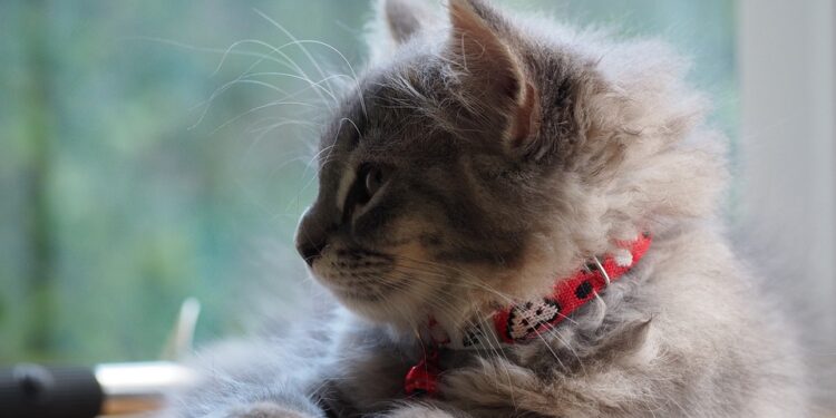 Discovering Inner Peace: The Power of Body Scan Relaxation