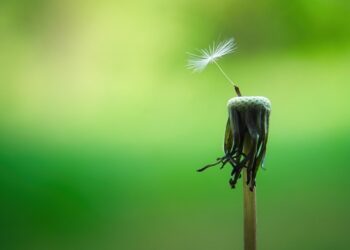 Finding Peace Within: How Mindfulness Can Help Overcome Depression