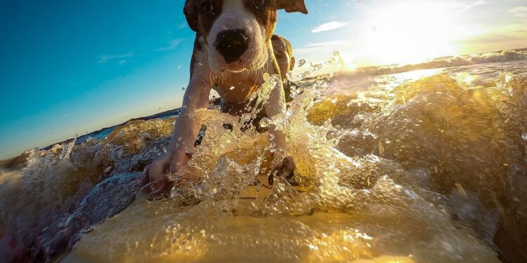 Embracing Kindness: The Power of Fostering Self-Compassion