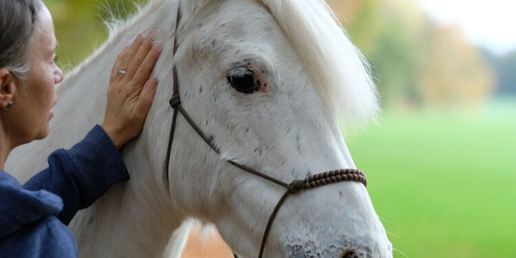 Unlocking Inner Peace: The Power of Body Scan Meditation