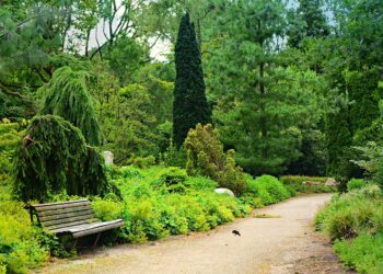 Empowering Minds: Effective Strategies for Mental Health Wellness