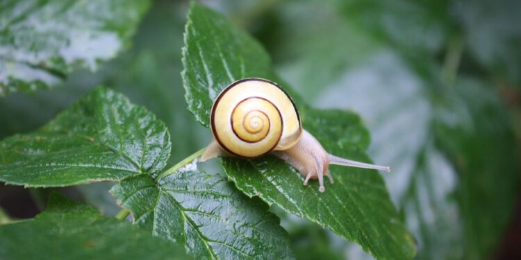 Unlocking Peaceful Slumber: Harnessing the Power of Mindfulness for Deep Sleep