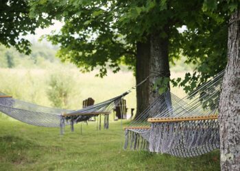 Unlock the Secrets to Optimal Sleep: Strategies for Improving Quality and Restfulness