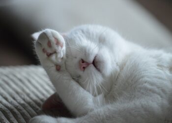 Unlocking the Secrets to Restful Nights: The Ultimate Guide to Healthy Sleep Habits