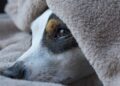 Unwind and Unleash: The Power of Body Scan Relaxation