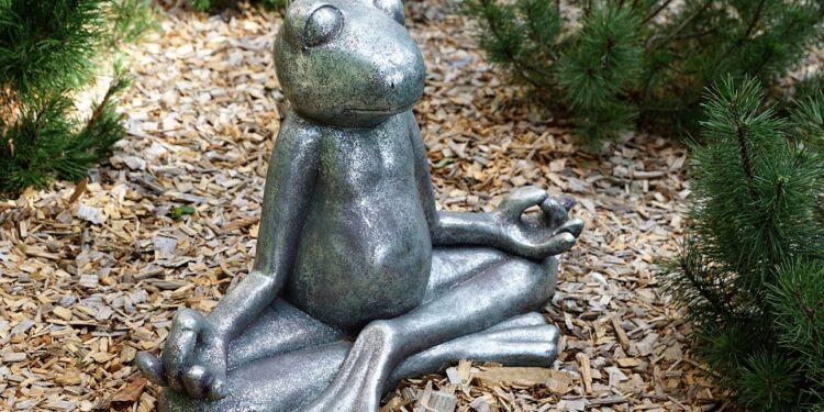 Mastering Mindfulness: The Top Apps to Elevate Your Mental Wellbeing