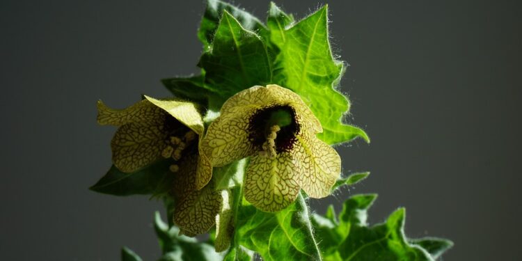 Breaking the Stigma: A Comprehensive Guide to Understanding Mental Health