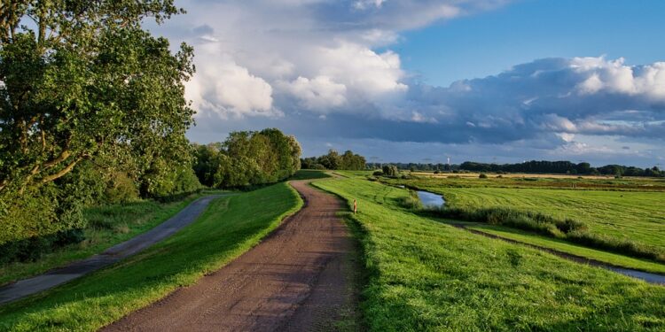 Relax and Unwind: The Power of Progressive Muscle Relaxation