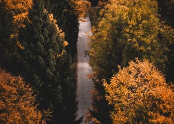 Mastering Serenity: Proven Stress Reduction Techniques for a Calmer Mind