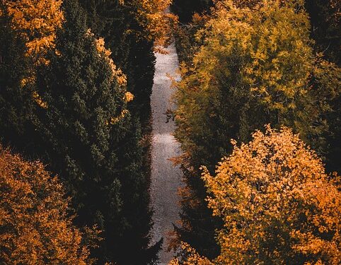 Mastering Serenity: Proven Stress Reduction Techniques for a Calmer Mind