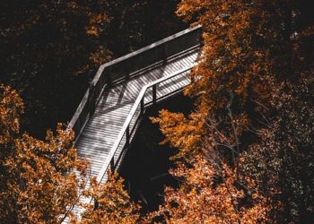 Mastering Mindfulness: Daily Exercises to Cultivate Presence and Peace