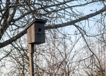 Finding Serenity: Stress-Relief Activities to Restore Balance and Inner Peace