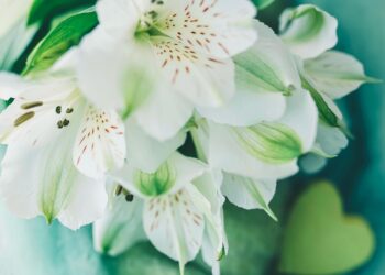 Finding Peace: How Mindfulness Can Help Manage Depression