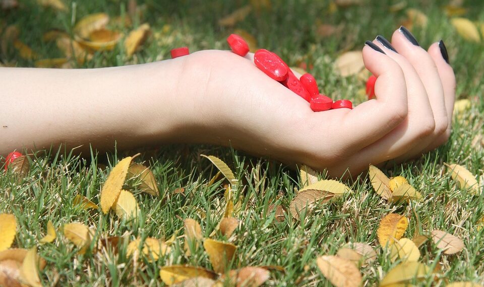 Unlocking the Path to Mental Wellness: Essential Resources for Your Journey