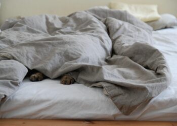 Unwind and Unplug: The Ultimate Guide to Stress-Relieving Relaxation Exercises