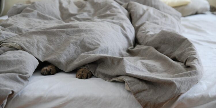 Unwind and Unplug: The Ultimate Guide to Stress-Relieving Relaxation Exercises