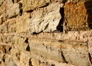 Breaking the Stigma: Championing Mental Health Awareness and Wellness