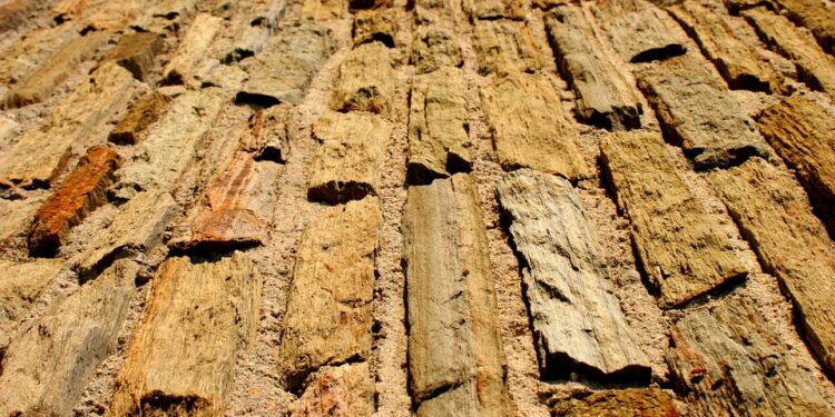 Breaking the Stigma: The Power of Mental Health Education