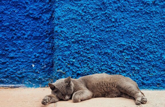 Melodic Escapes: The Ultimate Playlist for Relaxation and Renewal