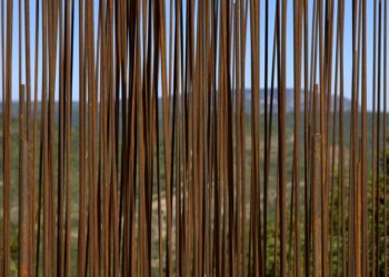 Unlocking the Power of Emotional Resilience: A Guide to Thriving in Turbulent Times