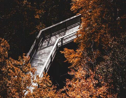 Discovering Peace: The Power of Mindfulness-Based Stress Reduction