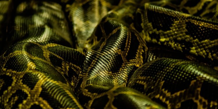 Dreaming in Color: Harnessing the Power of Visualization for Restful Sleep