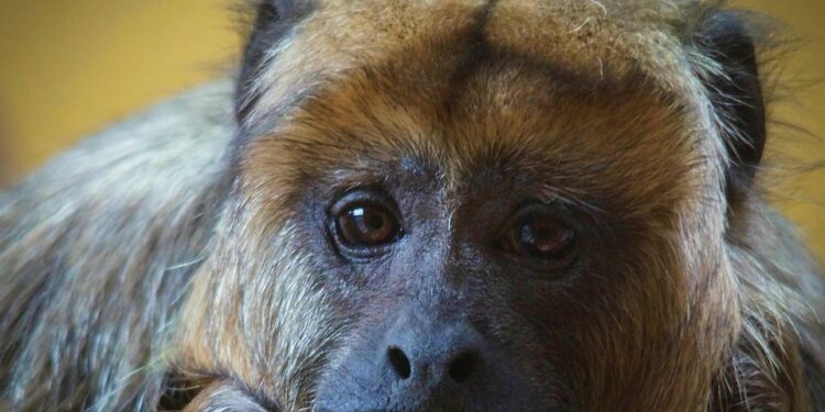 Unwind and Recharge: The Ultimate Guide to Relaxation Exercises