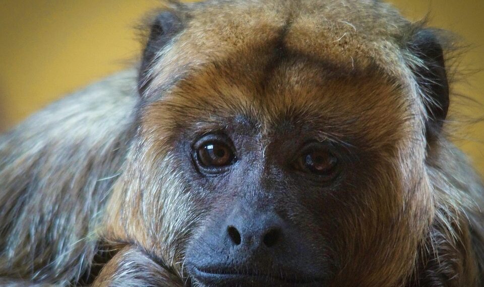 Unwind and Recharge: The Ultimate Guide to Relaxation Exercises