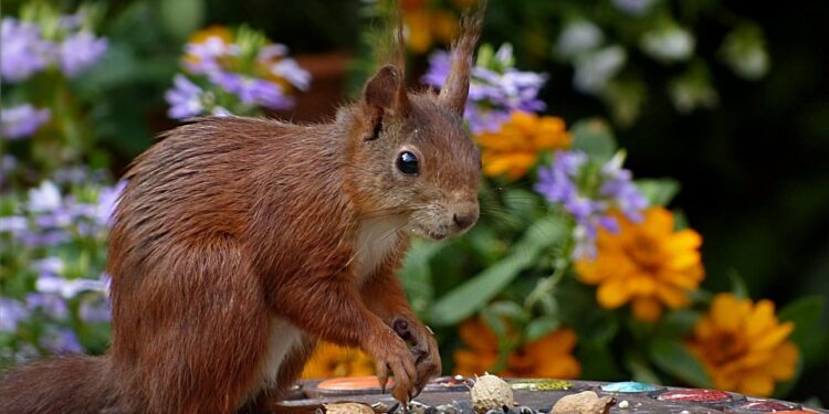 Mindful Magic: Teaching Kids the Power of Presence