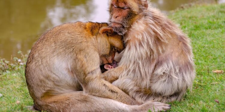 Unlocking the Secrets to Deep, Restful Sleep: The Key to a Healthier You