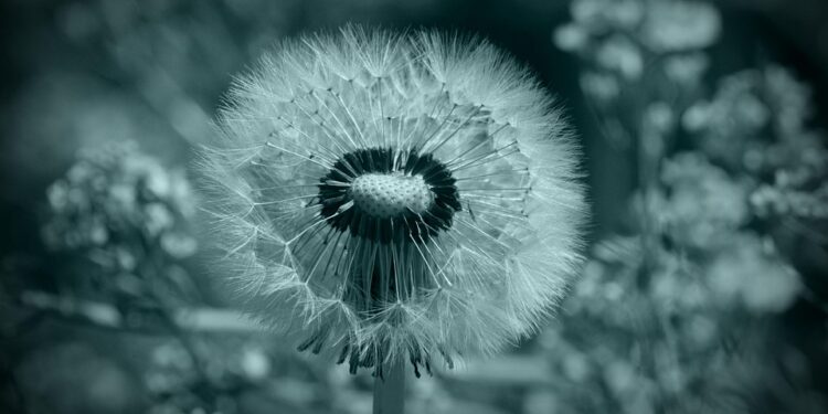 Mastering Mindfulness: Essential Tips for Living Fully in the Present